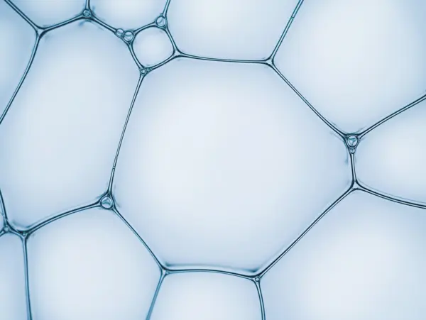 Adobestock 302727464