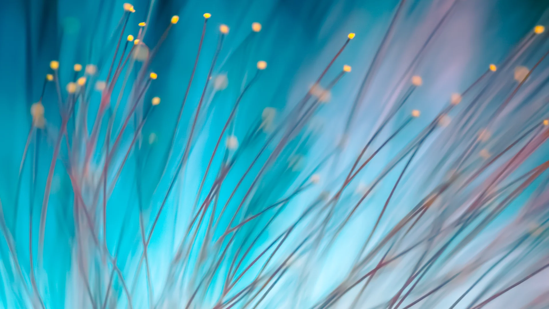 Life Sciences & Healthcare | Legal Services