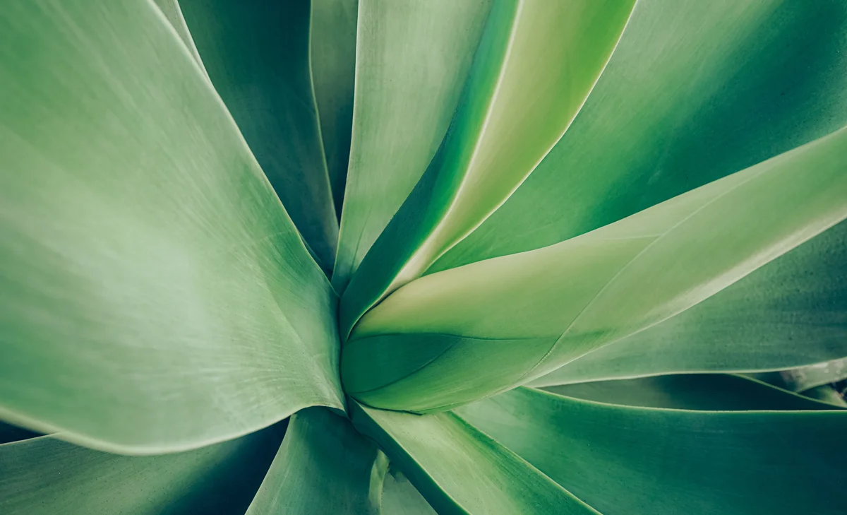 Adobestock 571373412
