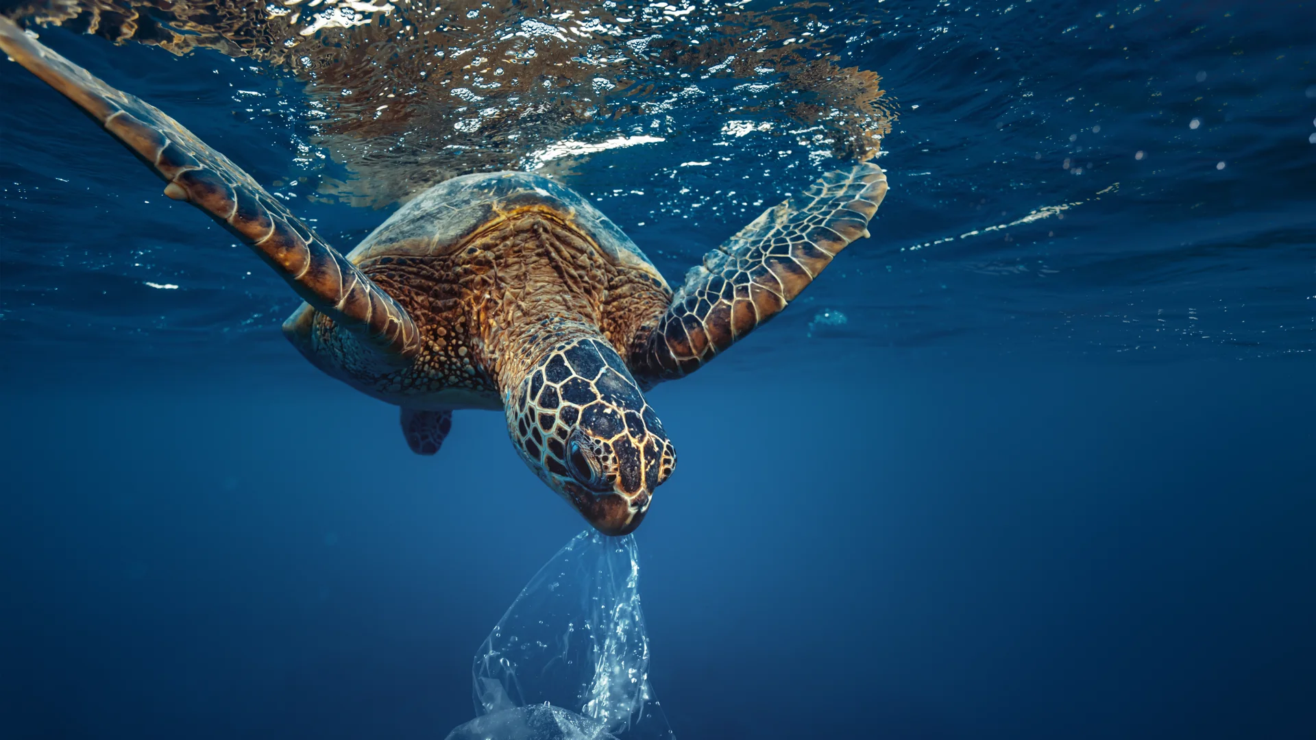 Reducing ocean waste with Plastic Odyssey
