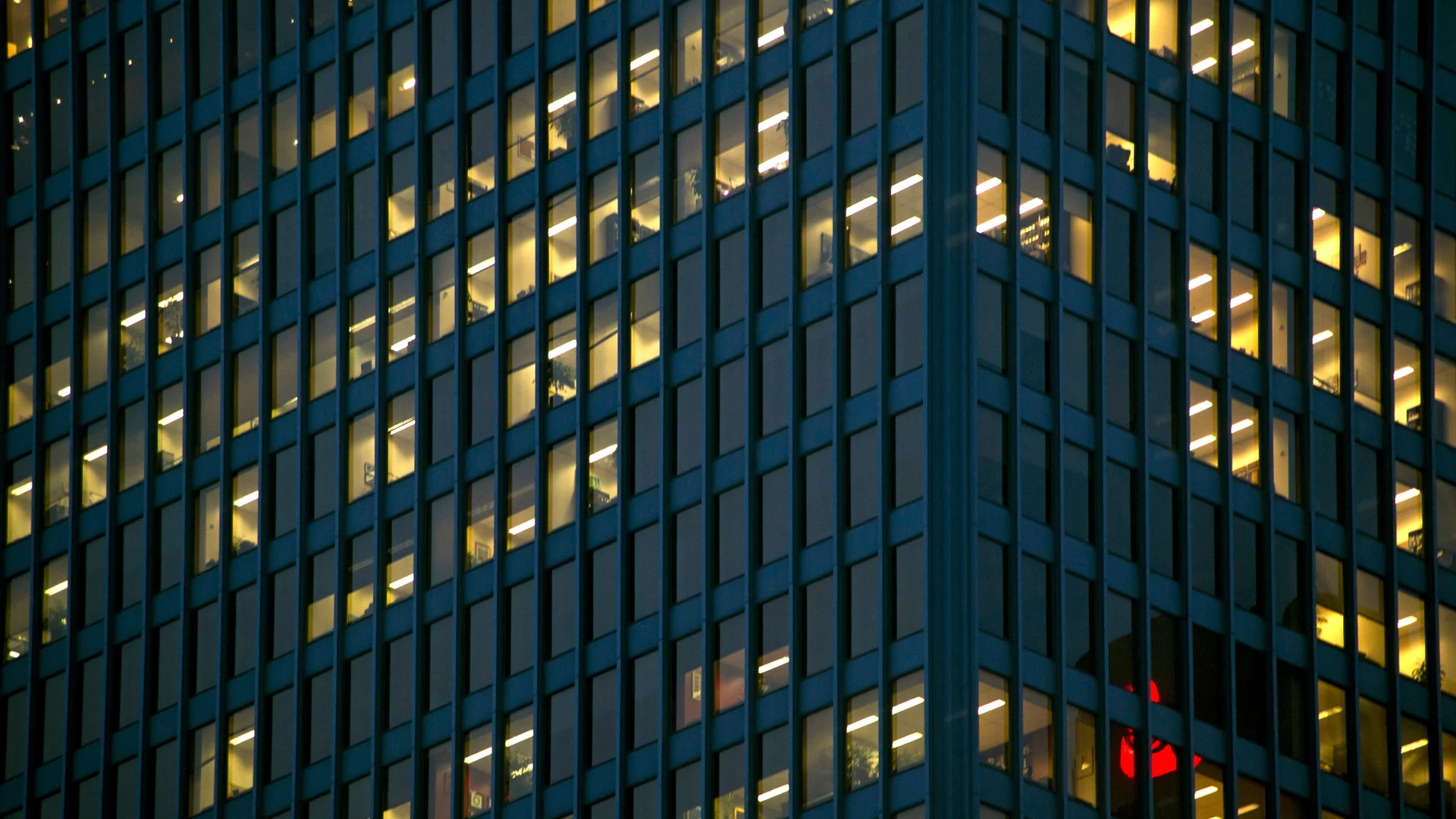 Investor Advisory | Legal Services