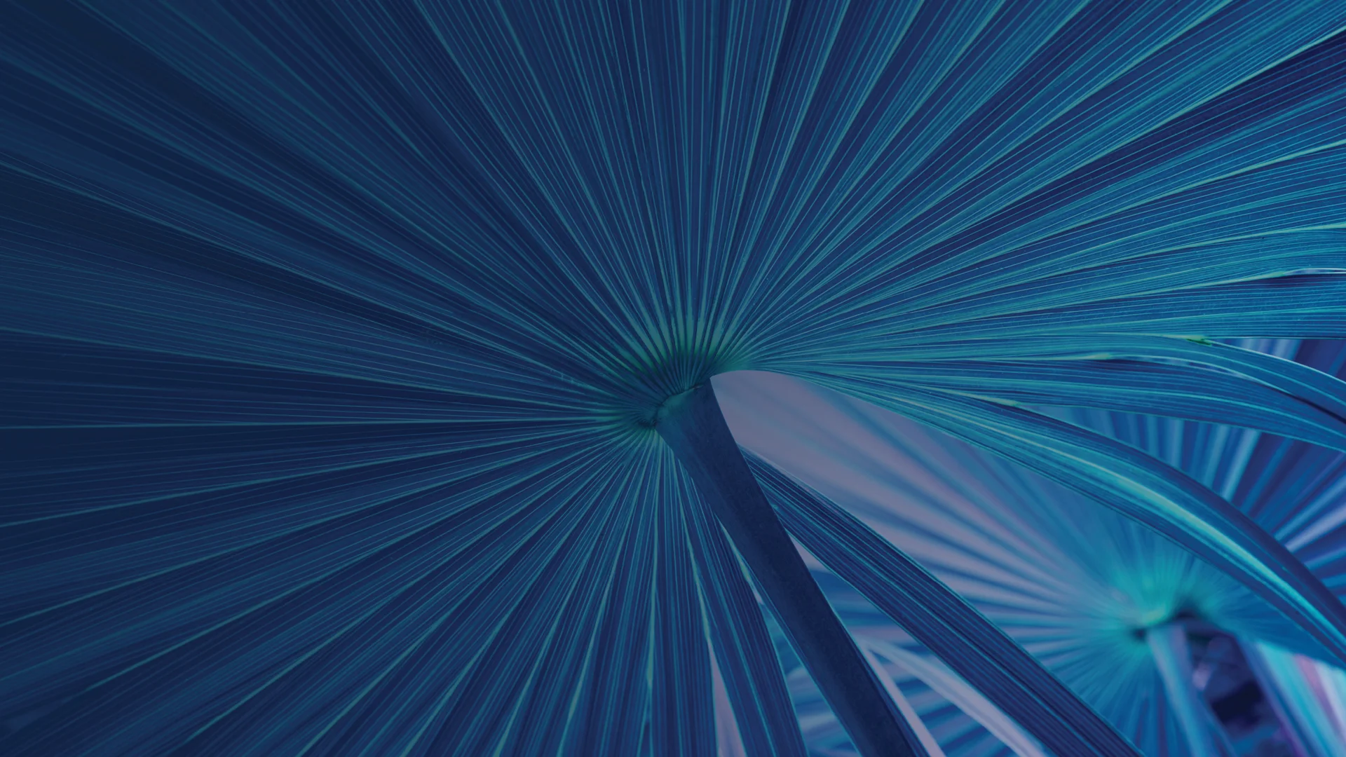 Stephenson Harwood advises Citic Europe Holdings on sale of Invia Group