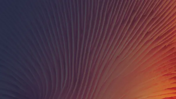Insights Orange Mushroom Gills Adobestock 137390679 OVERLAY