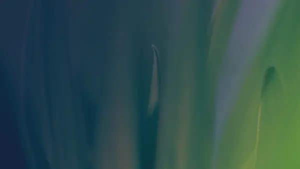 Insights Green Plant Adobestock 395547646 OVERLAY