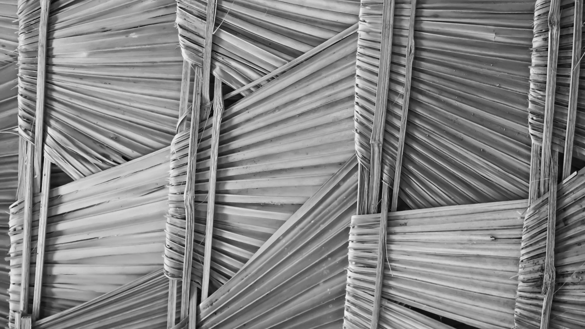 Stephenson Harwood strengthens its Property Litigation Practice with the arrival of David Marsden