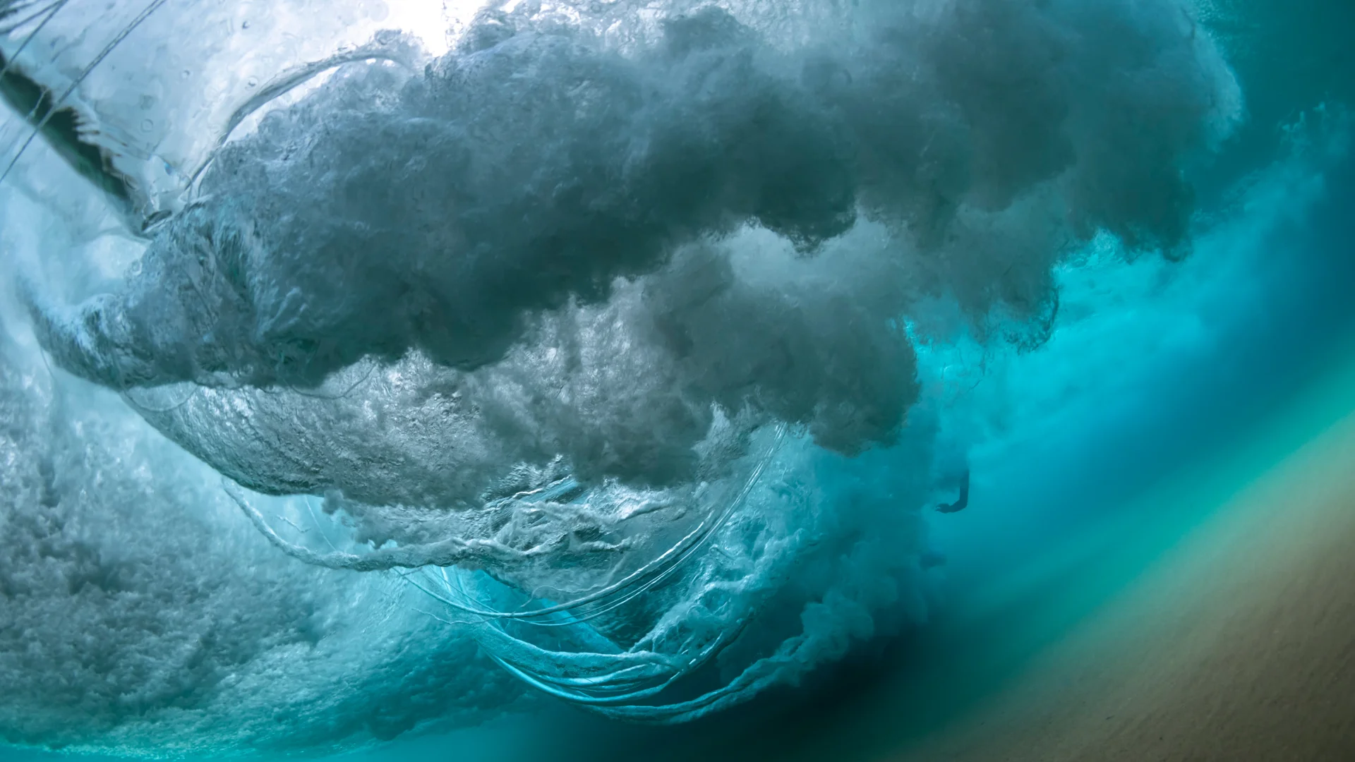 Natural Resources | Legal Services