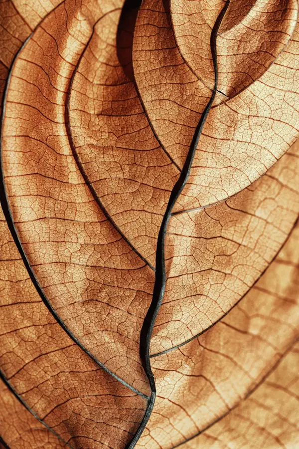 Adobestock 734620397