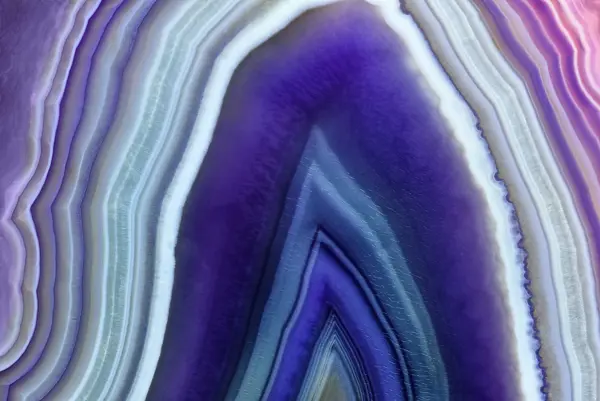 Adobestock 255388430