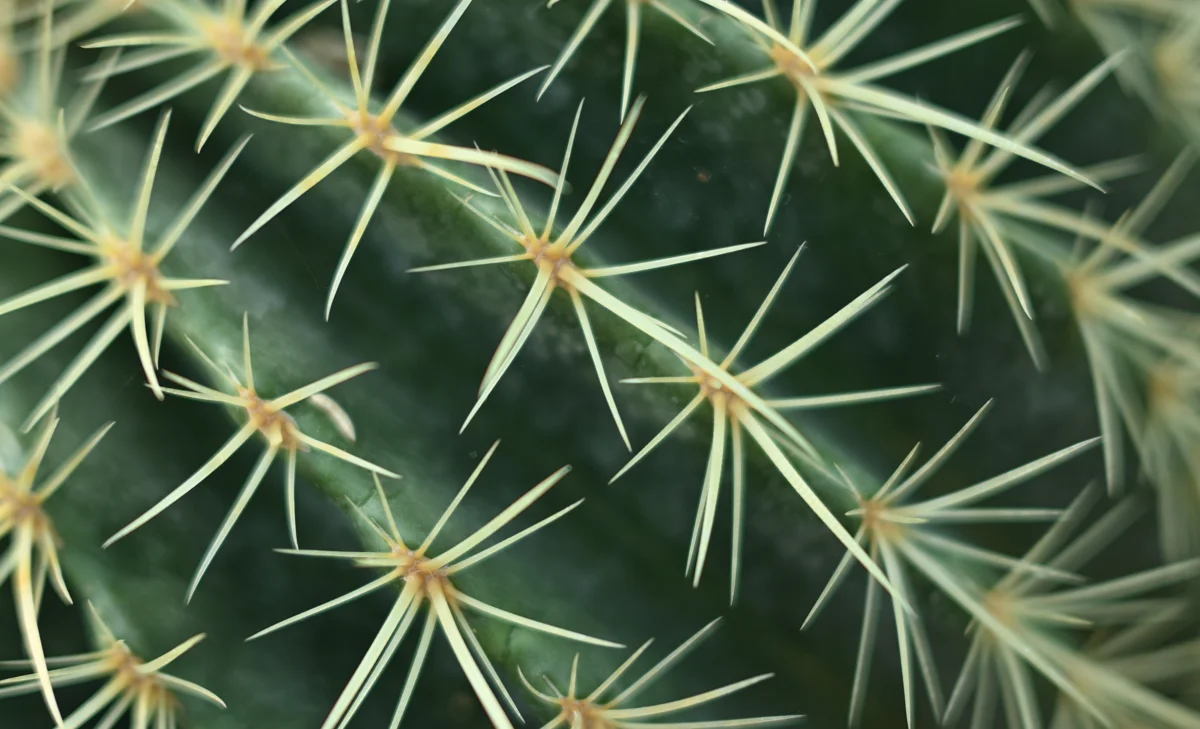 Adobestock 582823897