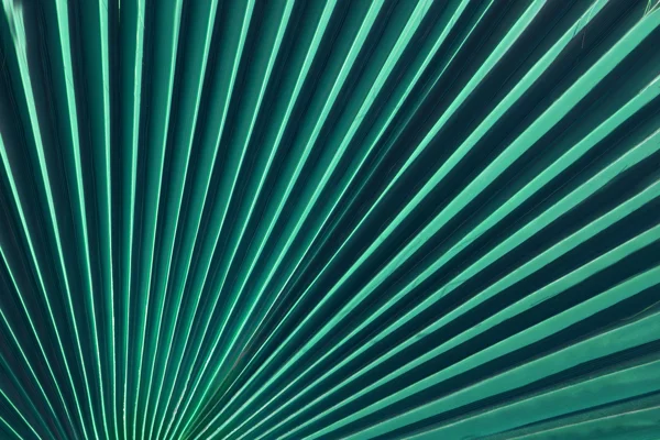Responsible Business | Social Impact | Legal Services