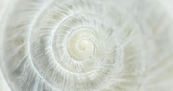 Adobestock 441139420