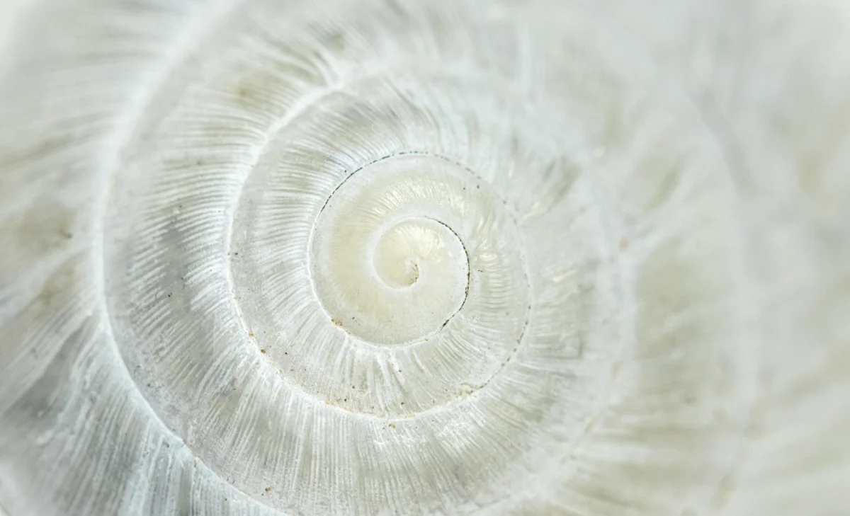Adobestock 441139420