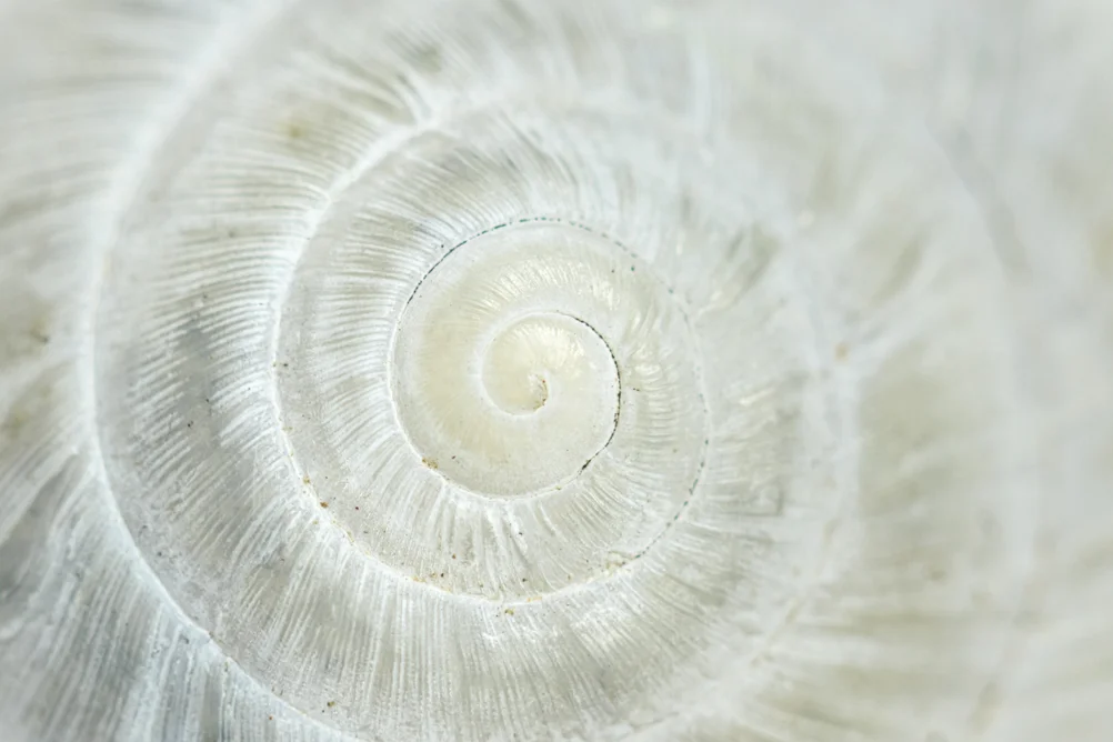 Adobestock 441139420