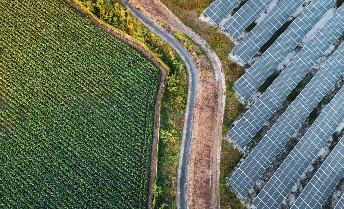 Greenwashing Risk | Legal Services