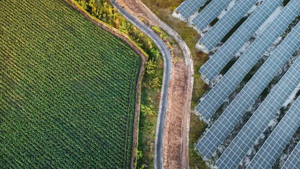 Greenwashing Risk | Legal Services